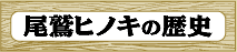 hqmL̗j